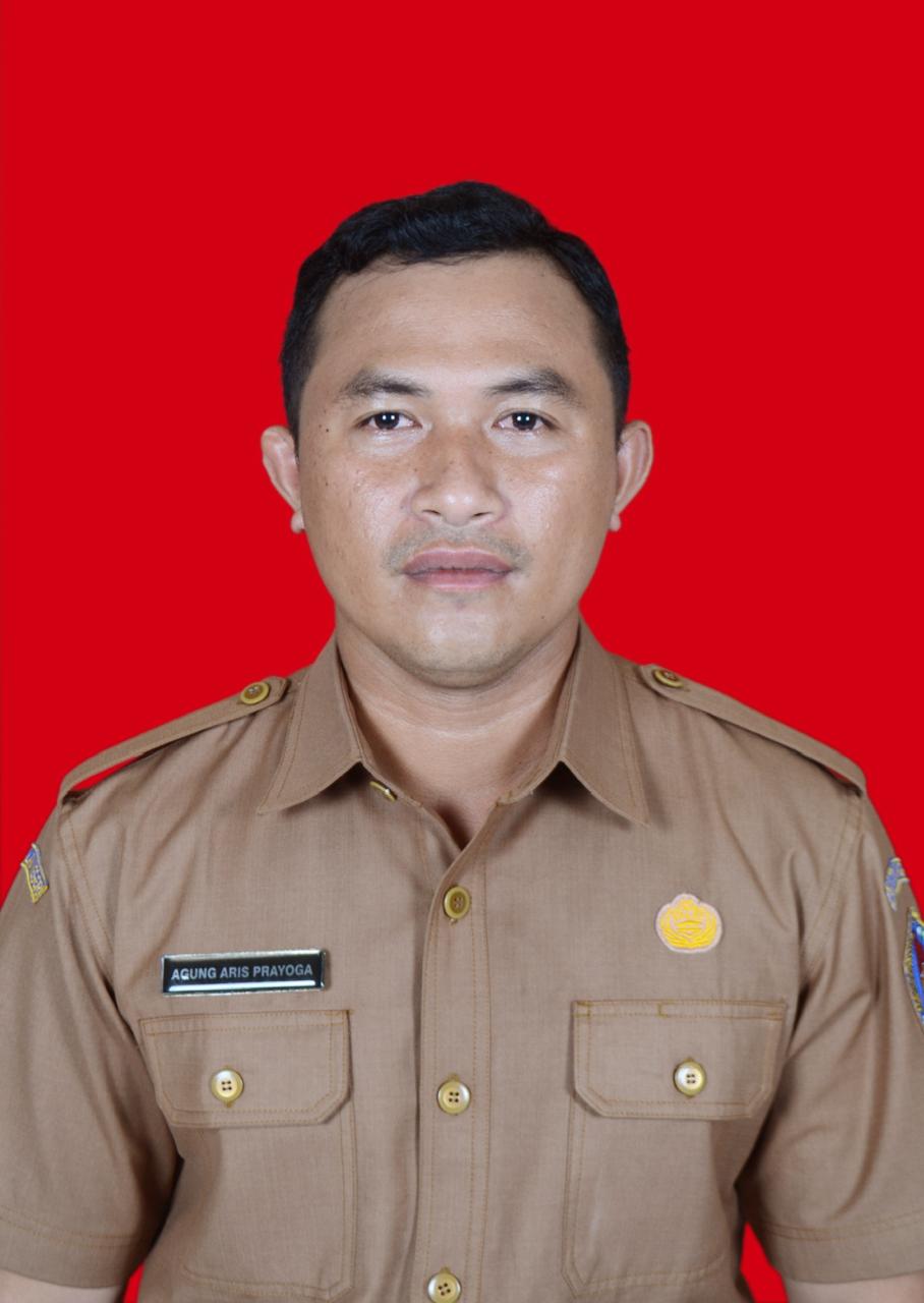 A. A. Gede Agus Aris Prayoga, S.Sn